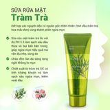  Sữa Rửa Mặt Dưỡng Da Tinh Chất Tràm Trà Giảm Mụn Tami Natural 120ml 