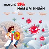  Nước Giặt Đồ Lót Sinh Học Loại Bỏ Vi Khuẩn, Vết Ố Tmfamil Lingerie Bewash 350ml 