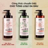  [TẶNG TẨY TBC ĐẦU 300gr] Dầu Gội & Dầu Xả Chiết Xuất Nông Sản Việt Gừng, Bưởi, Chanh 500ml | Làm Sạch, Nuôi Dưỡng Da Đầu 