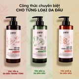  Combo Dầu Gội, Dầu Xả, Tẩy Tế Bào Chết Da Đầu Chiết Xuất Nông Sản Việt Gừng, Bưởi, Chanh | Làm Sạch, Nuôi Dưỡng Da Đầu 