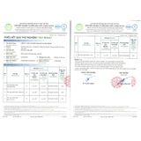  Xịt Thơm Miệng Khử Mùi, Diệt Khuẩn, Nhỏ Gọn Hương Trái Cây Tự Nhiên BFO Befresh 10ml 