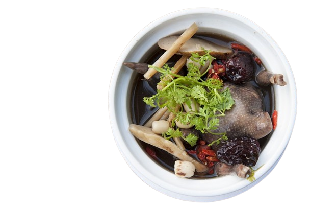  BỒ CÂU TIỀM THUỐC BẮC 