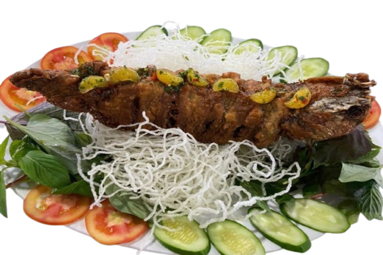  CÁ THẤU SỰ ĐỜI 