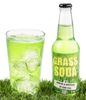 SODA WILLGRASS
