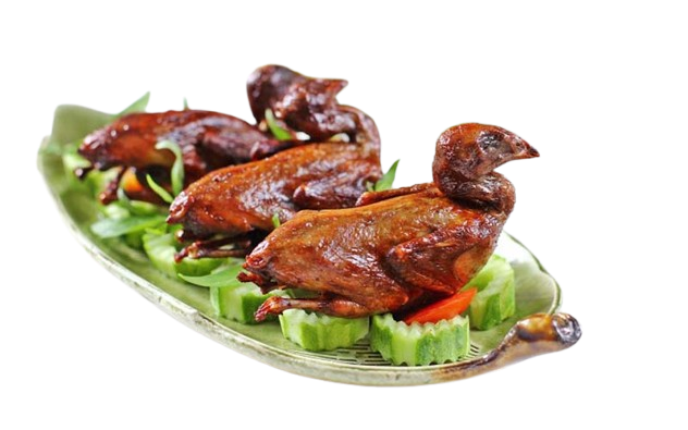  BỒ CÂU QUAY (CON) 