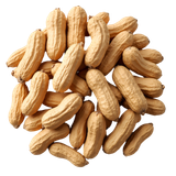  ĐẬU PHỘNG (GÓI) 