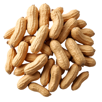  ĐẬU PHỘNG (GÓI) 