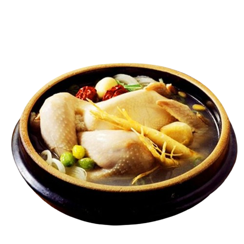  GÀ HẦM NHÂN SÂM 