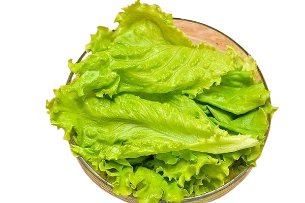  SALAD THÊM 