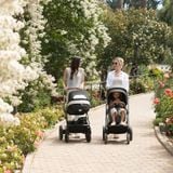  XE ĐẨY NUNA MIXX NEXT - MÀU CEDAR 