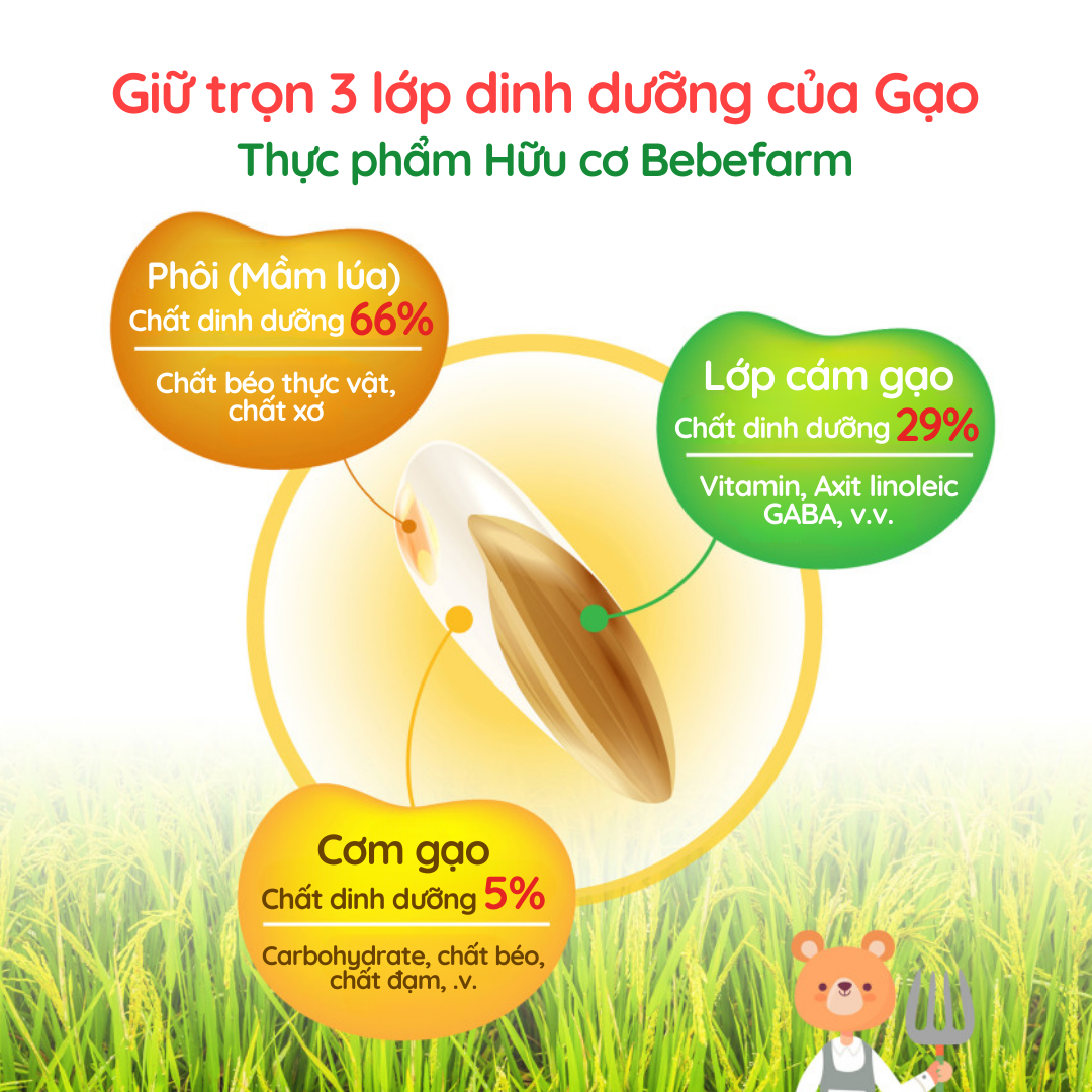  Bánh Ăn Dặm Bebefarm Hữu Cơ Organic 