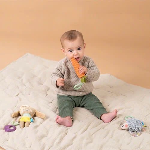  Set 3 Món Đồ Chơi Treo Cũi, Xe Đẩy Phát Triển Vận Động Taf Toys Activity Toys Kit 