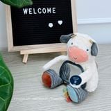  Đồ Chơi Thú Bông Itzy Bitzy Mirror™ Sensory Tummy Time Mirror 