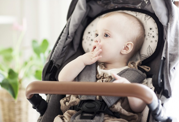  Thảm Lót Xe Đẩy 3D Airmesh Dono&Dono - Họa Tiết Holy Garden 