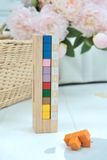  Đồ Chơi Xếp Khối Geni Hình Tháp Packer Stacker 