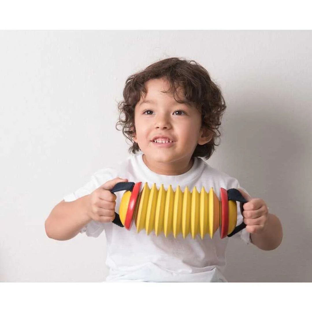  Đồ Chơi PlanToys Đàn Concertina Cho Bé 12M+ 
