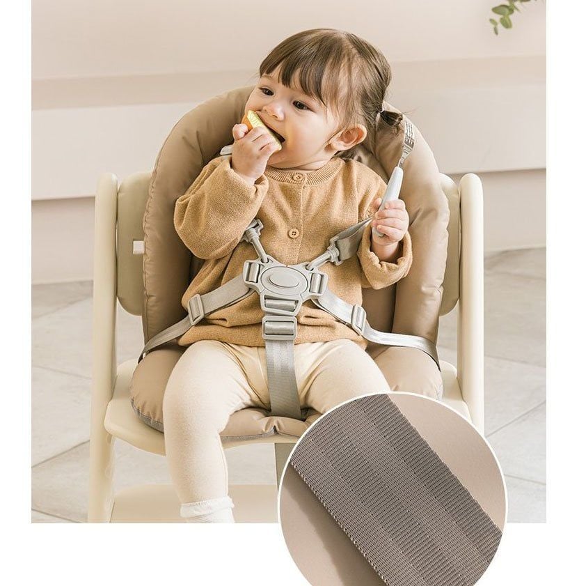  Ghế Ăn Dặm Dono & Dono (Có Kèm Đệm) 