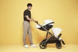  Xe Đẩy Cybex Gazelle S - Seashell Beige 