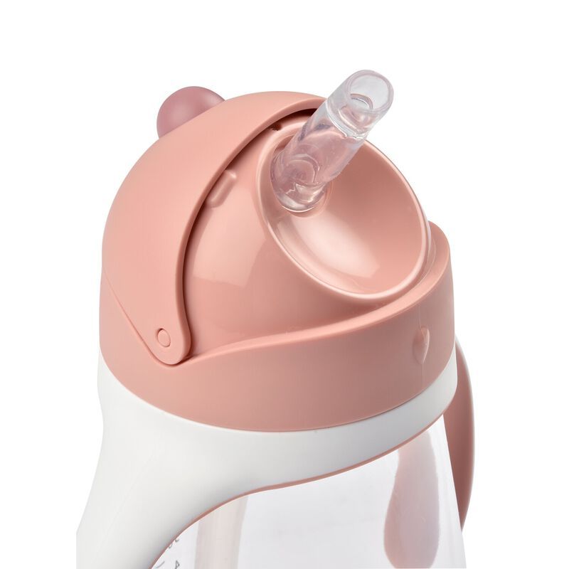  Bình Nước Kèm Ống Hút Béaba Cho Bé Từ 8M+ (300ml) 