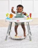  Ghế nhún Skip Hop Explore & More 3-Stage Activity Center 