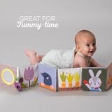  Sách Vải Chủ Đề Khu Vườn Taf Toys Urban Garden Pram Book 