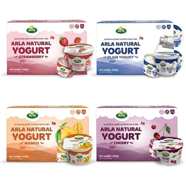  Sữa Chua Nguội Arla Natural Yogurt 12M+ (100g x 6) 