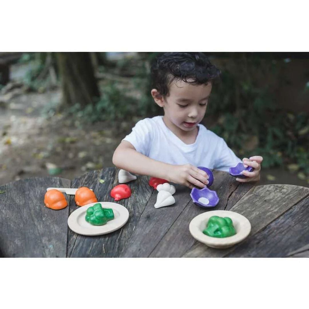  Đồ Chơi Gỗ PlanToys Bộ Cắt Rau Củ 5 Màu Sắc Cho Bé 18M+ 