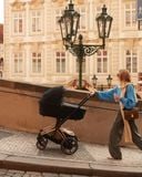  Nôi sơ sinh Cybex Priam Lux Carry Cot 