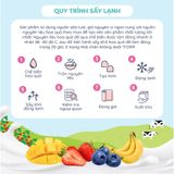  Sữa Chua Phô Mai Sấy Lạnh Mom's Choice (6M+) 