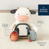 Đồ Chơi Thú Bông Itzy Bitzy Mirror™ Sensory Tummy Time Mirror 