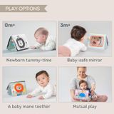  Sách Vải Hỗ Trợ Tập Lẫy Taf Toys Savannah Tummy-Time Book 