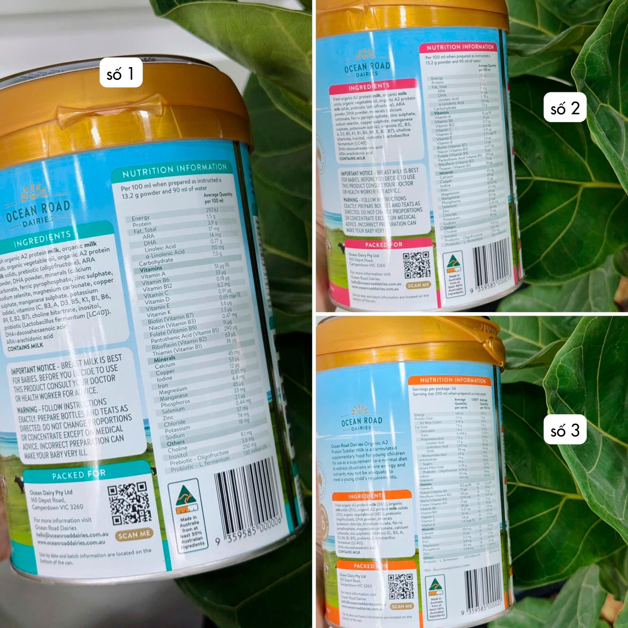  Sữa Ocean Road Dairies Infant Organic A2 Số 2 Cho Bé Từ 6-12 Tháng (900g) 