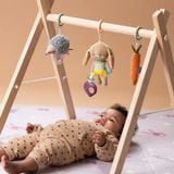  Set 3 Món Đồ Chơi Treo Cũi, Xe Đẩy Phát Triển Vận Động Taf Toys Activity Toys Kit 