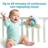  Đồ chơi treo nôi cũi Tiny Love Soothe 'N Groove Mobile - Meadow Days 