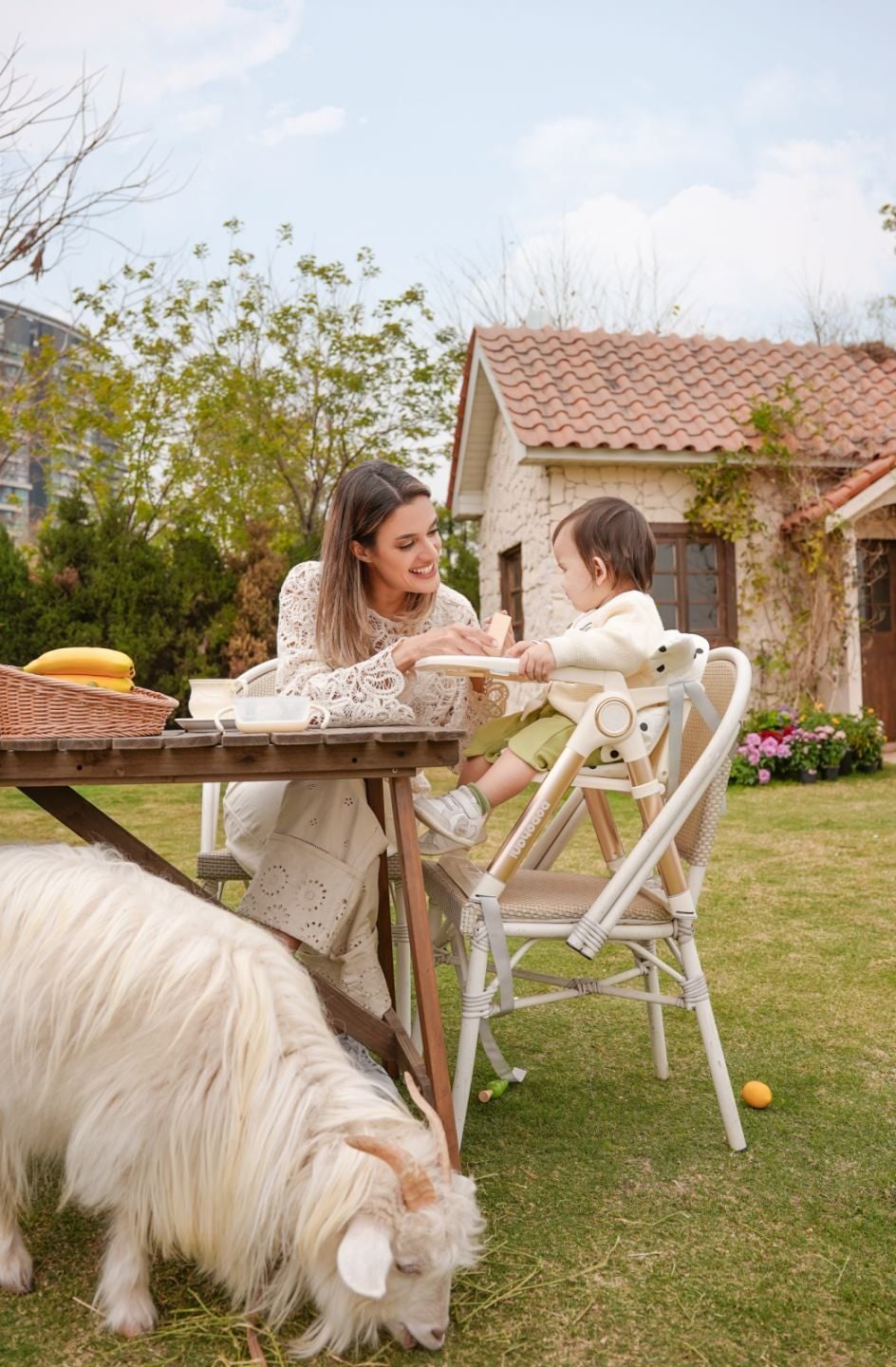  Ghế Ăn Dặm Gấp Gọn Di Động Dodohani Hàn Quốc 