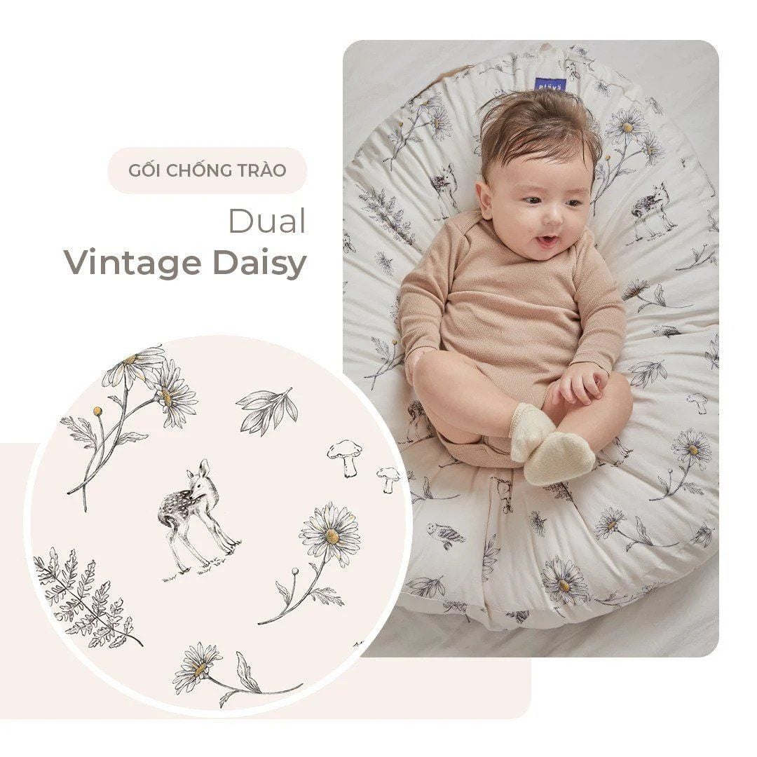  GỐI CHỐNG TRÀO NGƯỢC ELAVA 