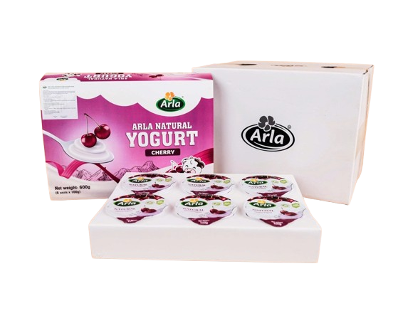  Sữa Chua Nguội Arla Natural Yogurt 12M+ (100g x 6) 