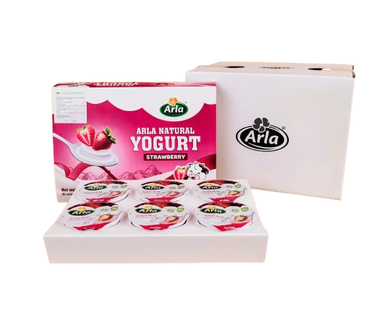  Sữa Chua Nguội Arla Natural Yogurt 12M+ (100g x 6) 