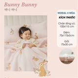  Set Chăn Nệm Gối Cho Bé Đi Học Dono&Dono Modal 4 Mùa 