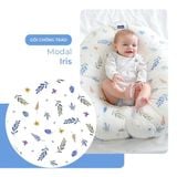  GỐI CHỐNG TRÀO NGƯỢC ELAVA 