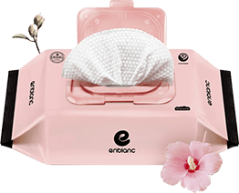  Khăn Ướt Chiết Xuất Từ Cây Mugung Cho Bé ENBLANC INDIPINK - 72 Tờ 