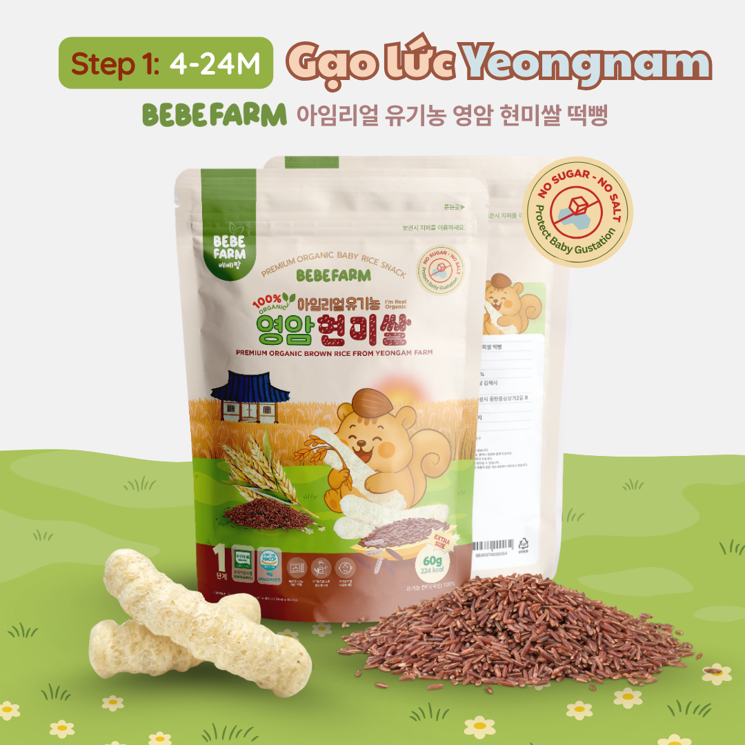  Bánh Ăn Dặm Bebefarm Hữu Cơ Organic 
