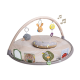  Thảm Chơi Phát Triển Vận Động Và Tập Lẫy Cho Bé Taf Toys Tummy-time activity gym 