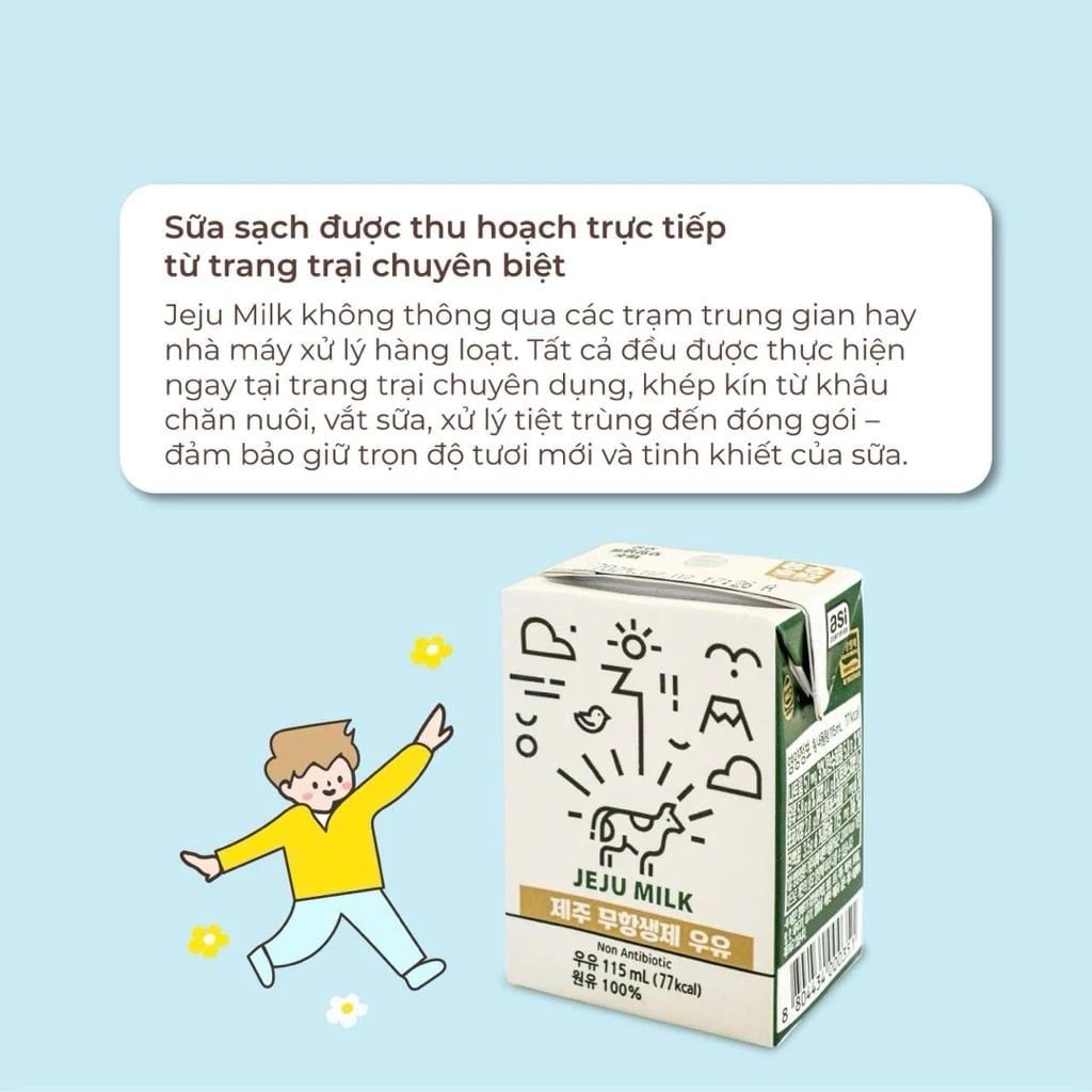  Sữa tươi không kháng sinh JEJU MILK (115ml) 