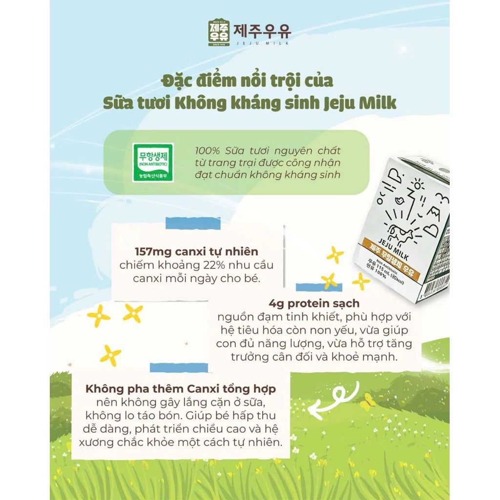 Sữa tươi không kháng sinh JEJU MILK (115ml) 