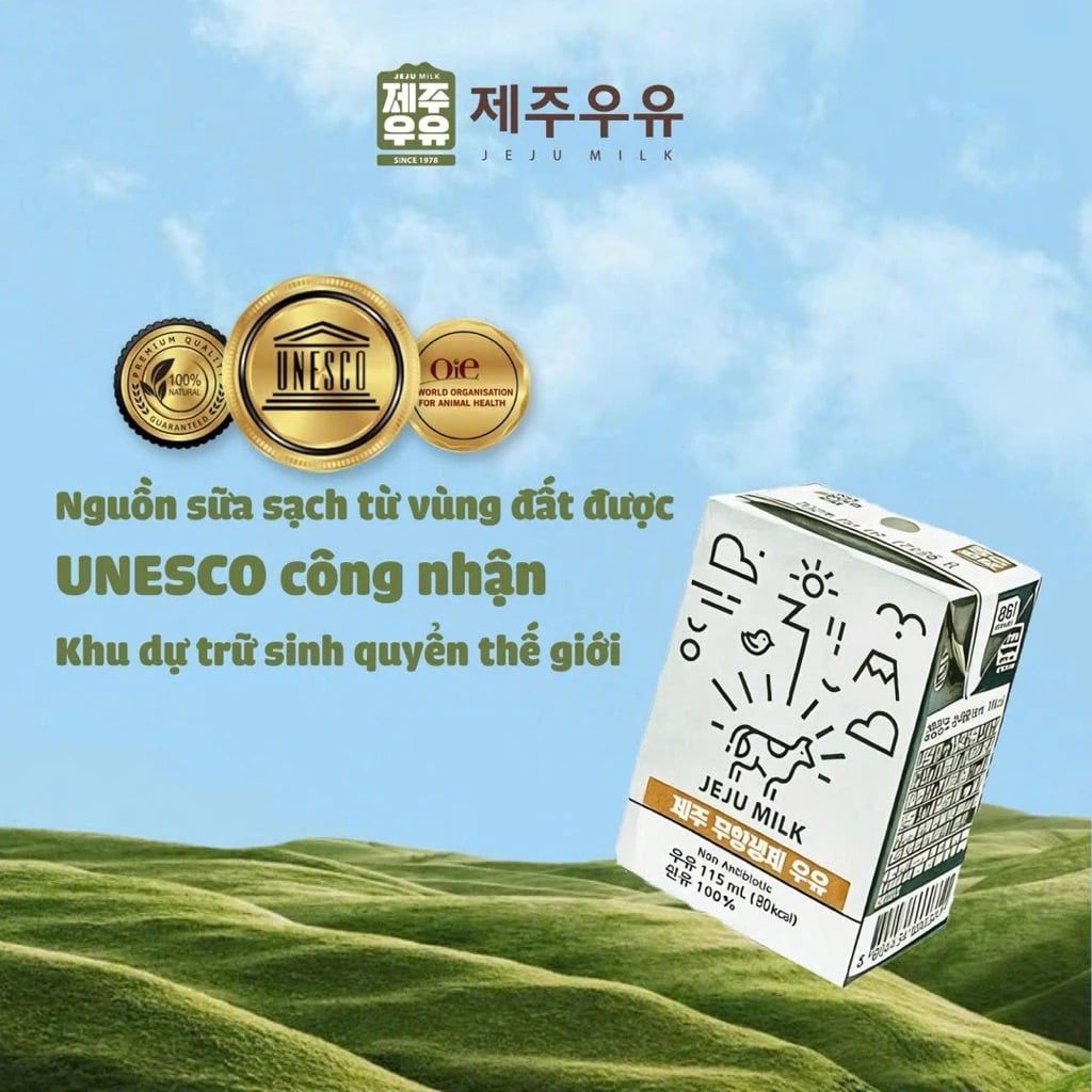  Sữa tươi không kháng sinh JEJU MILK (115ml) 