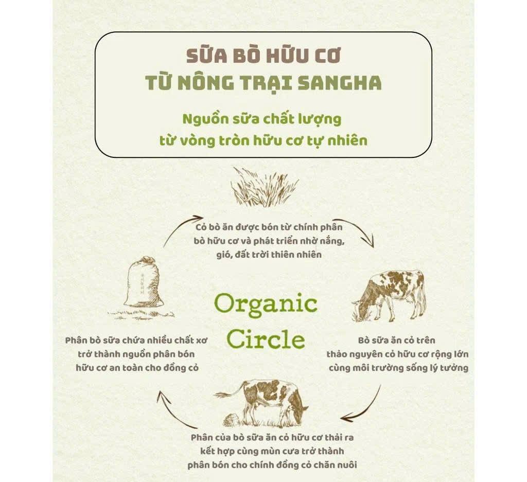  (HỘP) Sữa Tươi Maeil Organic Hàn Quốc 125ml - Vị Chuối 