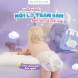  Tã/Bỉm Quần Ban Đêm Elprairie Air Wing Nội Địa Hàn 