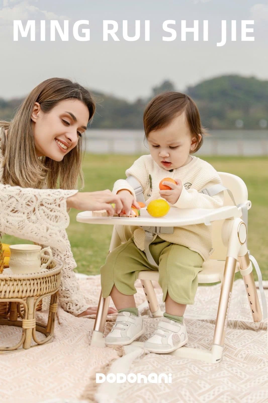  Ghế Ăn Dặm Gấp Gọn Di Động Dodohani Hàn Quốc 