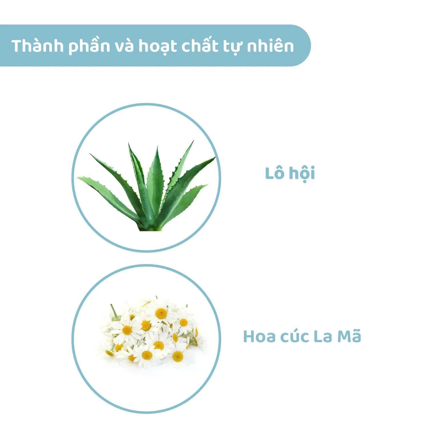  Sữa Tắm Gội Chiết Xuất Lô hội & Cúc La Mã Chicco Natural Sensation 0M+ 500ml 